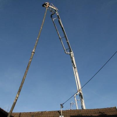 Img 0086